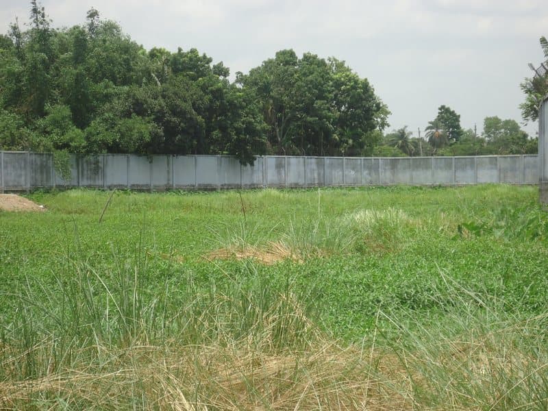 Green field beside factory